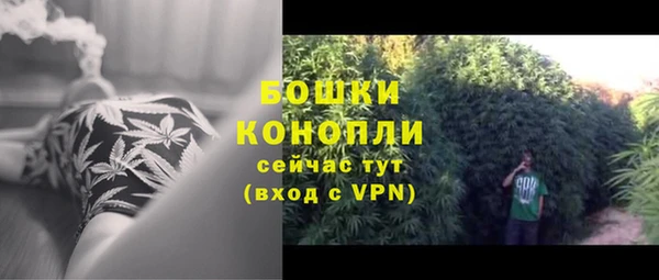 трава Балахна