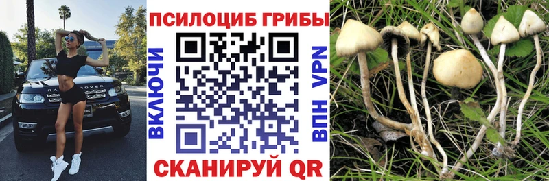 Псилоцибиновые грибы мицелий  Унеча 